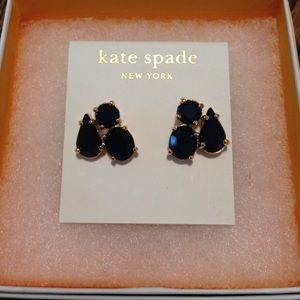 Kate Spade earrings (blue stone set in gold toned)